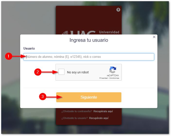 CAMPUS_DIGITAL_2.png